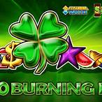 40 burning hot slot game